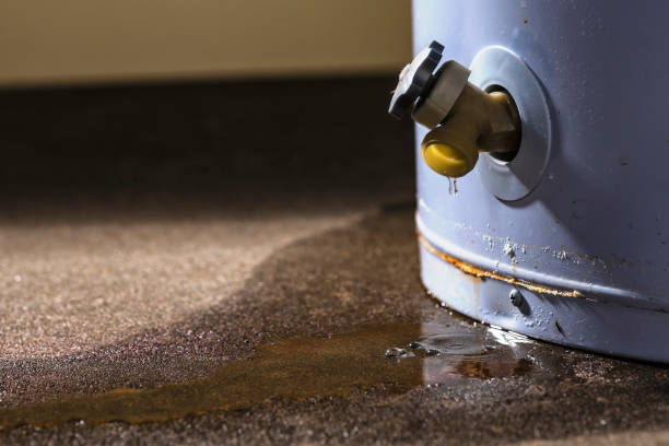 Best Water damage restoration near me  in Cottonwood, ID