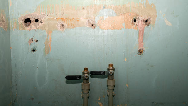 Best Flood restoration services  in Cottonwood, ID
