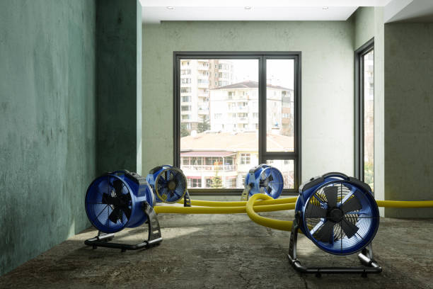 Best Local water damage restoration  in Cottonwood, ID